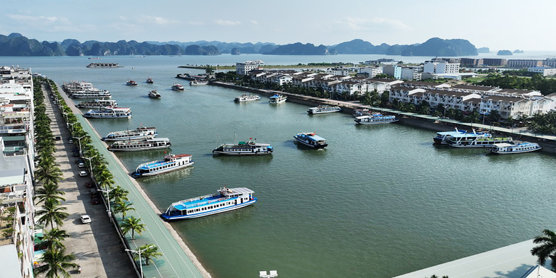 Bến tàu Tuần Châu ở đâu