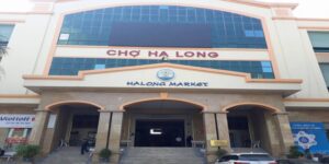 Giải đáp chợ Hạ Long 1 ở đâu