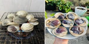Ngán Hạ Long là gì và tại sao lại có giá đắt đỏ