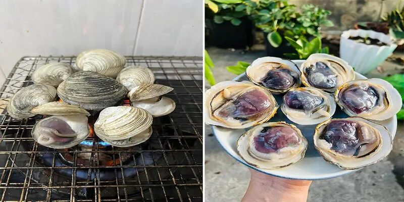 Ngán Hạ Long là gì và tại sao lại có giá đắt đỏ