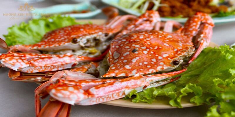 Oanh tạc thiên đường ẩm thực biển tại đảo Tuần Châu
